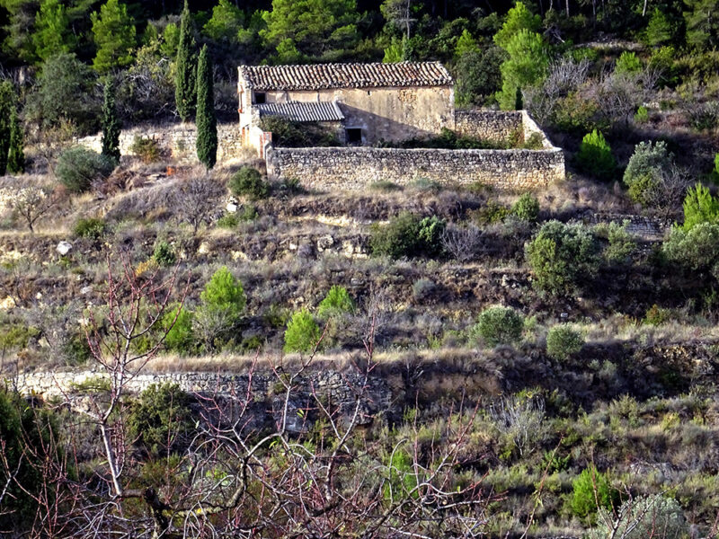 FINCA EN BATEA – Zona Mirador Puerto Beceite