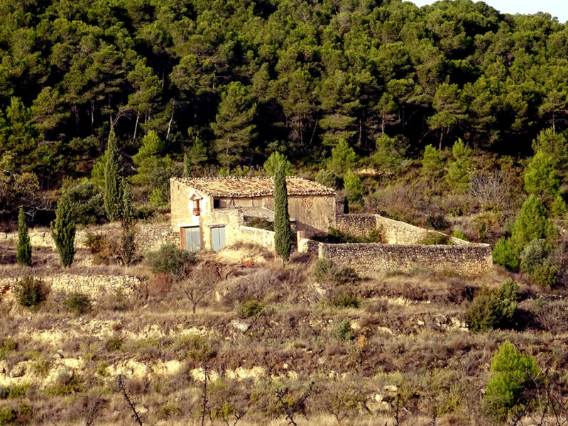 FINCA EN BATEA – Zona Mirador Puerto Beceite