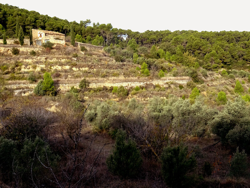 FINCA EN BATEA – Zona Mirador Puerto Beceite