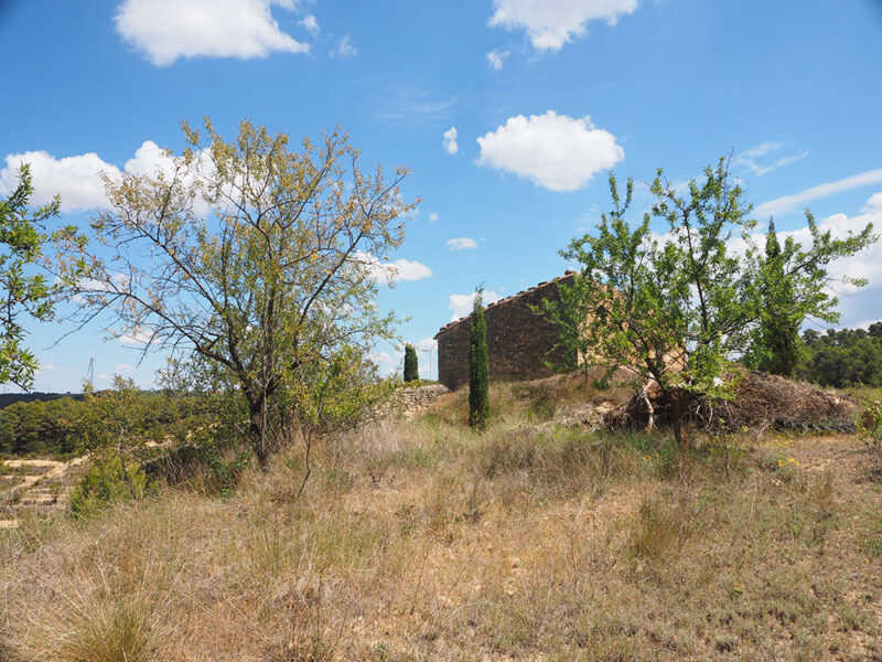 FINCA EN BATEA – Zona Mirador Puerto Beceite