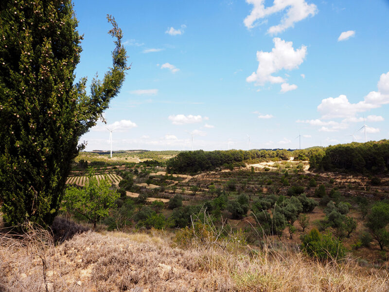 FINCA EN BATEA – Zona Mirador Puerto Beceite