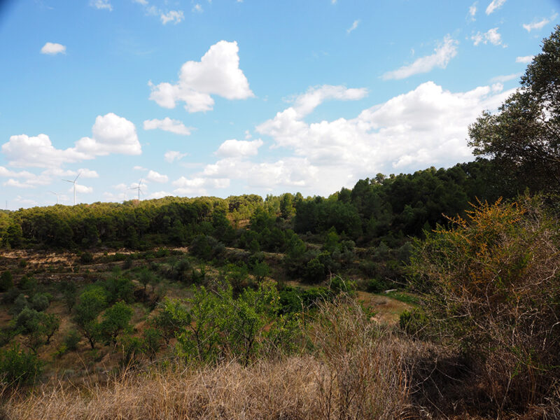 FINCA EN BATEA – Zona Mirador Puerto Beceite
