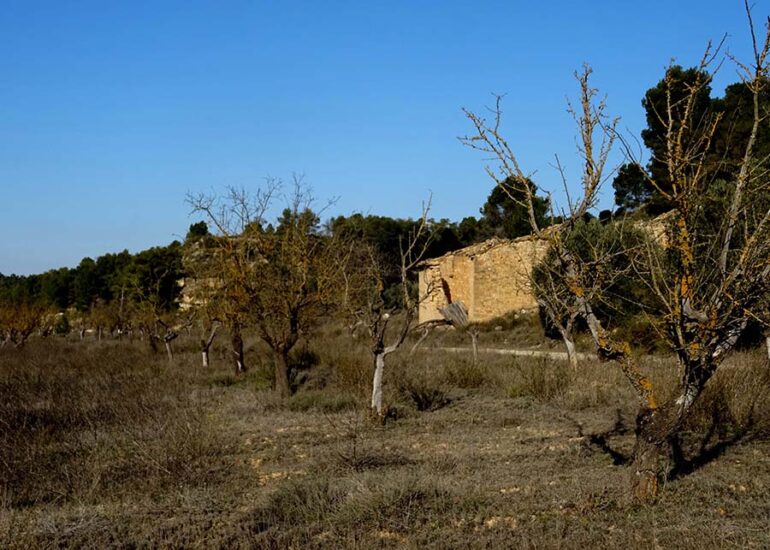 FINCA EN BATEA – Zona Riu Algars