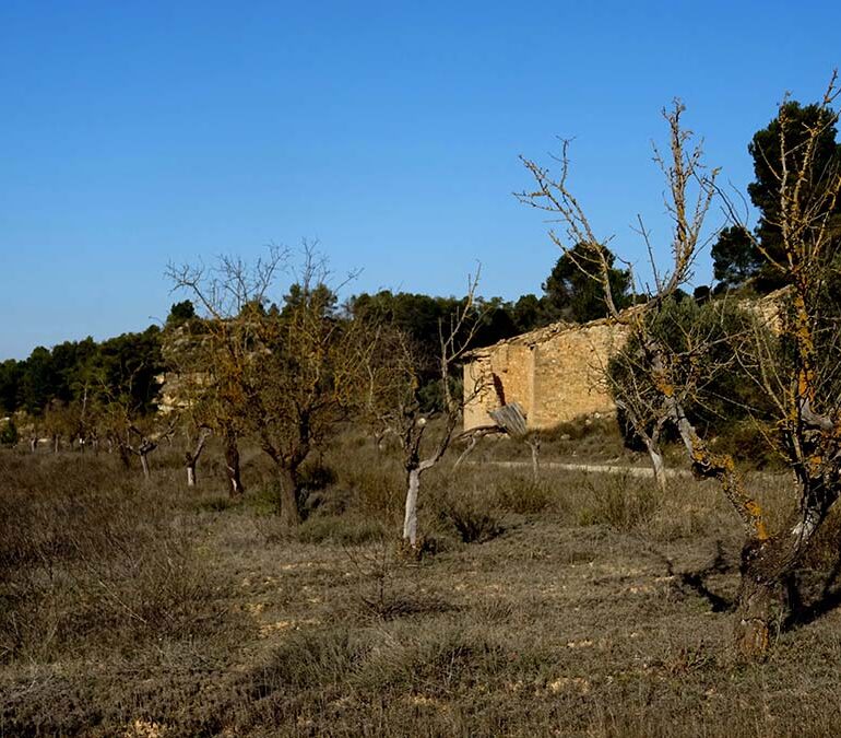 FINCA EN BATEA – Zona Riu Algars