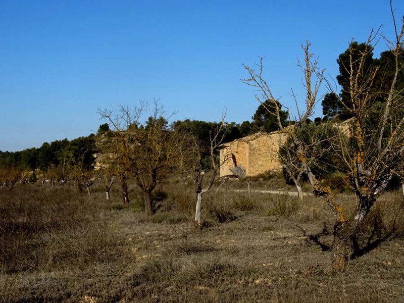 FINCA EN BATEA – Zona Riu Algars