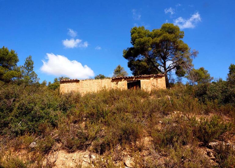 FINCA EN BATEA – Zona Ribera Algars