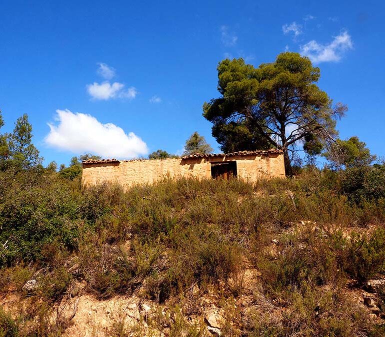 FINCA EN BATEA – Zona Ribera Algars