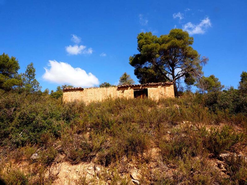 FINCA EN BATEA – Zona Ribera Algars