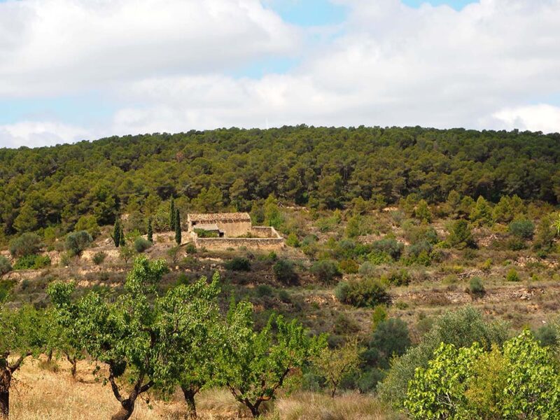 FINCA EN BATEA – Zona Mirador Puerto Beceite