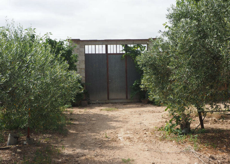 Finca agrícola de 200 olivos con almacén rural, que puede acondicionarse. Tiene piscina, pozo de agua y conexión a la red. En el linde del casco urbano de Gandesa, La Terra Alta, Tarragona.