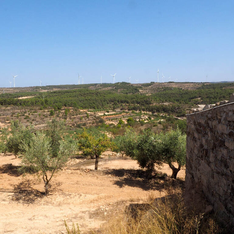 Una plantación de 750 olivos que producen 8.200 kg con masia y almacén y con agua de la red de regantes de la Terra Alta. Tarragona