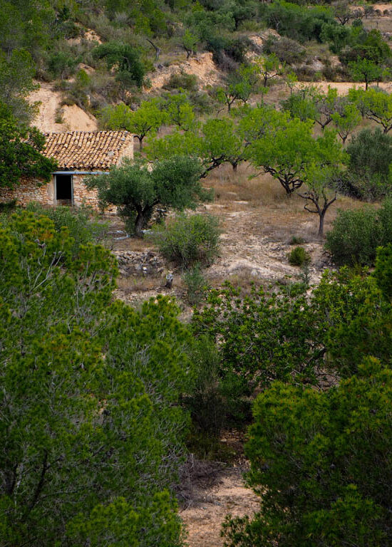 Finca rústica de 13,6 hectàrees amb oliveres, ametllers i garrofers en producció, mas de pedra, foc a terra i pou perforat. A només 14 minuts de Benifallet. 48.000 €.