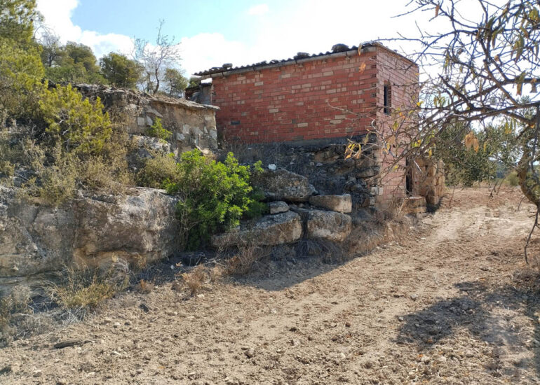 Un Mas a Corbera d’Ebre. El teu refugi a la natura t’espera en aquesta finca d’oliveres i ametllers