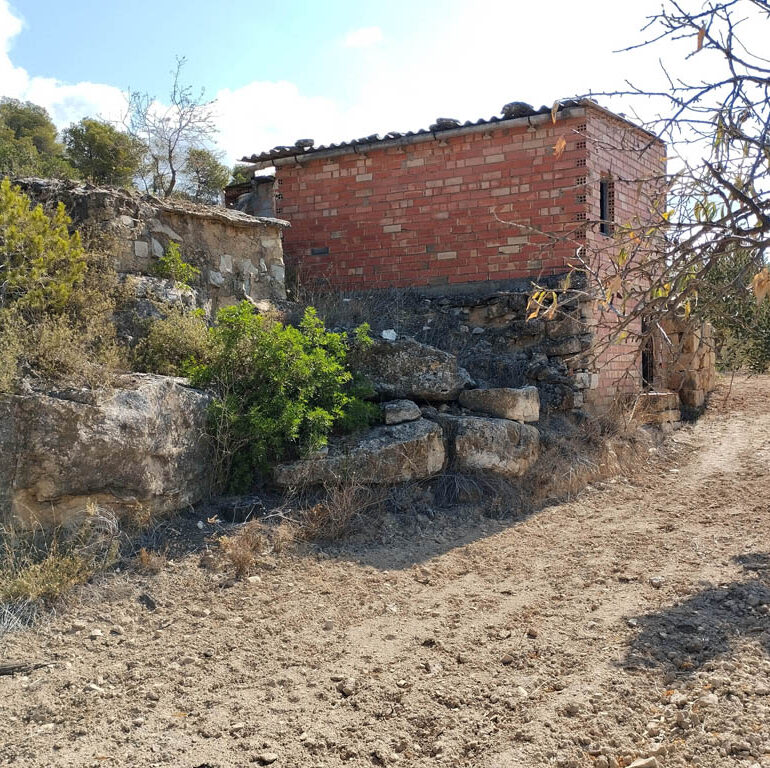 Un Mas a Corbera d’Ebre. El teu refugi a la natura t’espera en aquesta finca d’oliveres i ametllers