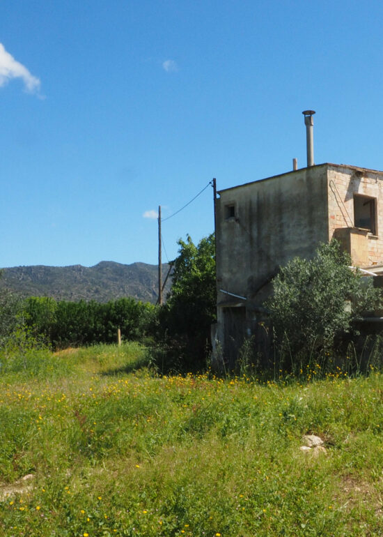 Xerta oferim un terreny rústic amb un gran habitatge junt amb 1.926 m2 de construccions agropecuàries, magatzems.