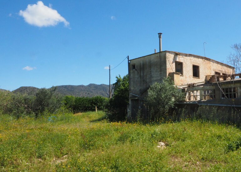 Xerta oferim un terreny rústic amb un gran habitatge junt amb 1.926 m2 de construccions agropecuàries, magatzems.
