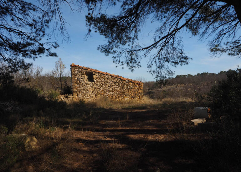 Nuestros Servicios RUSTIC FINCA