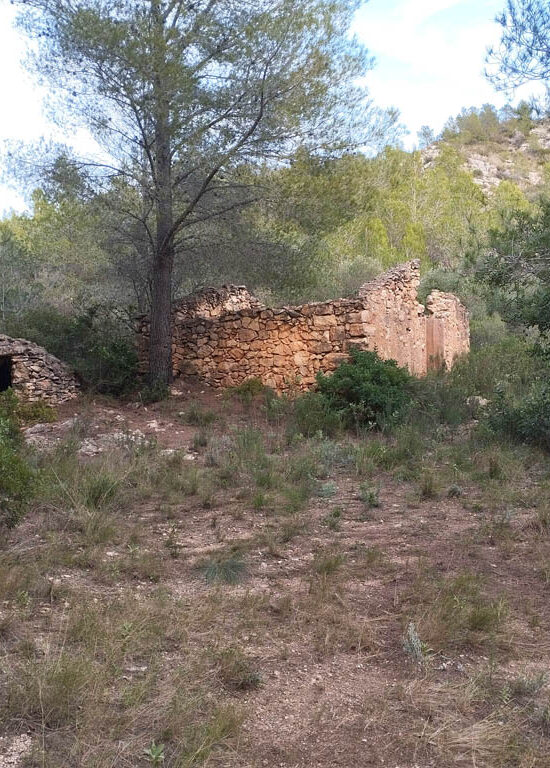 Casa rural aïllada a Benifallet – 8ha de natura