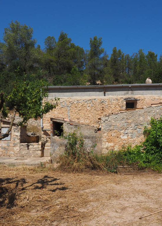 Mas de pedra entre ametllers amb façana sud-est i entorn natural