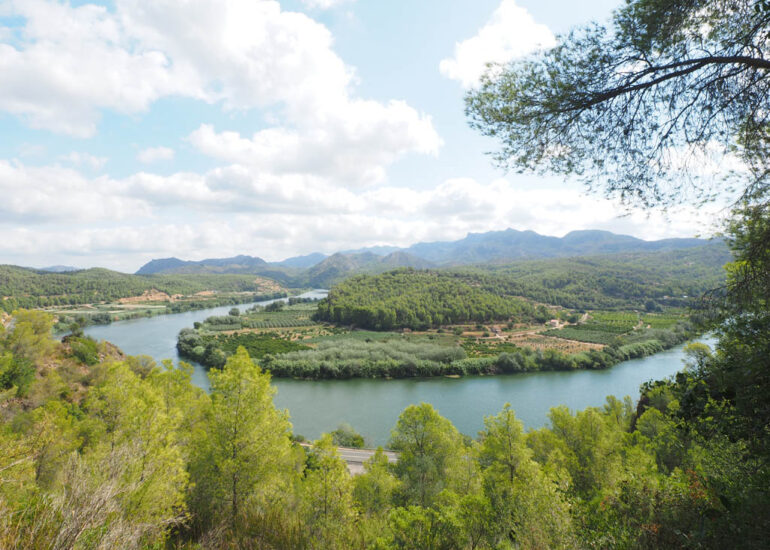 El riu ebre al meandre de Benifallet