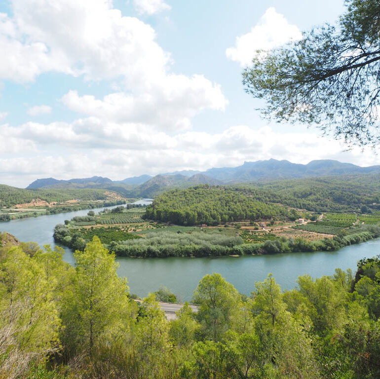 El riu ebre al meandre de Benifallet
