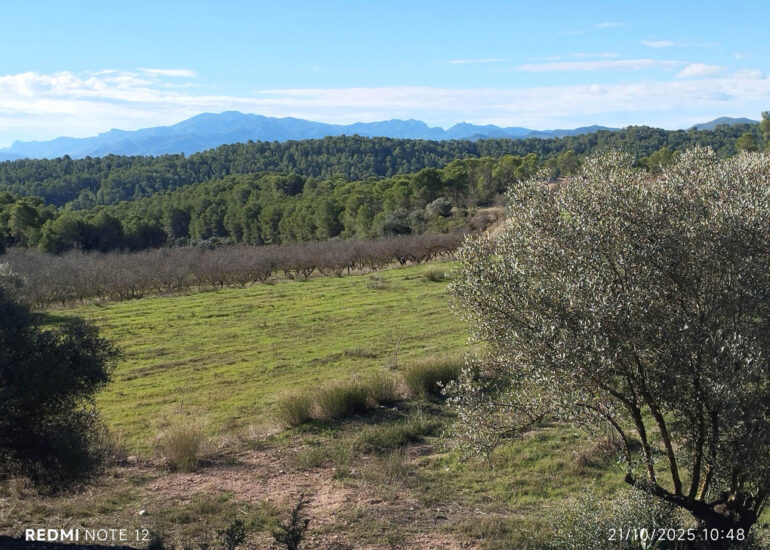 Finca amb regadiu a prop de Mora d'Ebre
