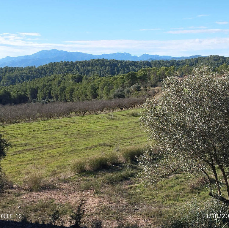 Finca amb regadiu a prop de Mora d'Ebre