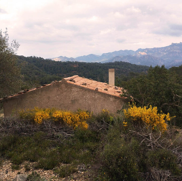 Benifallet la caseta encantada, casa rustica amb vistas al massís de Cardó