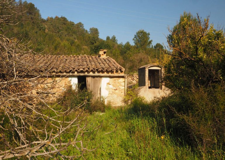 Finca mas i aigua a Benifallet amb mas, tarongers i terreny de regadiu