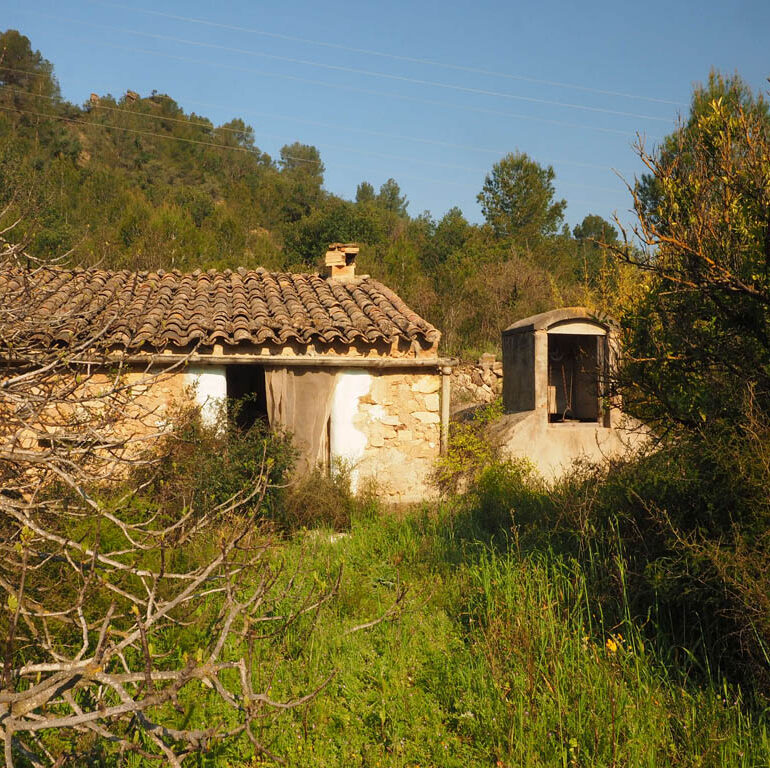 Finca mas i aigua a Benifallet amb mas, tarongers i terreny de regadiu