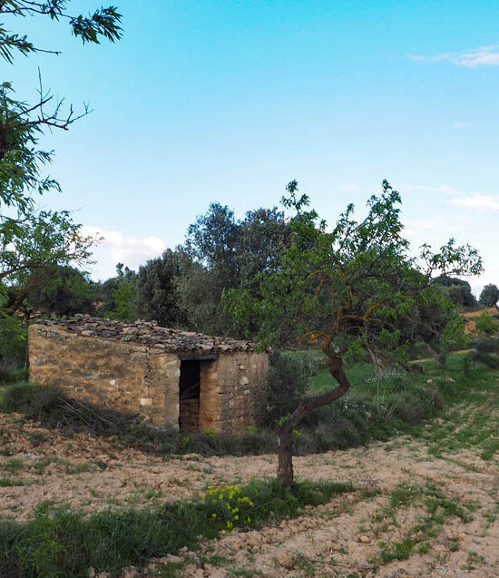 Maset de pedra entre oliveres i ametllers a Bot amb vistes a les serres de la Terra Alta