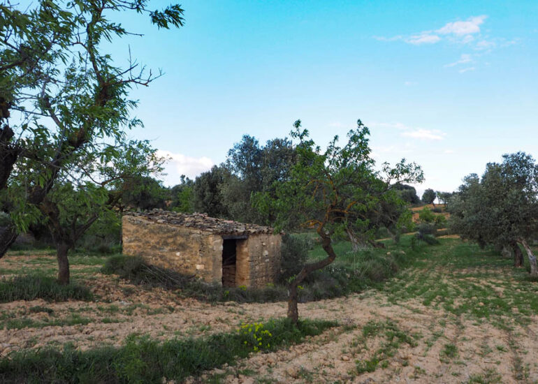 Maset de pedra entre oliveres i ametllers a Bot amb vistes a les serres de la Terra Alta