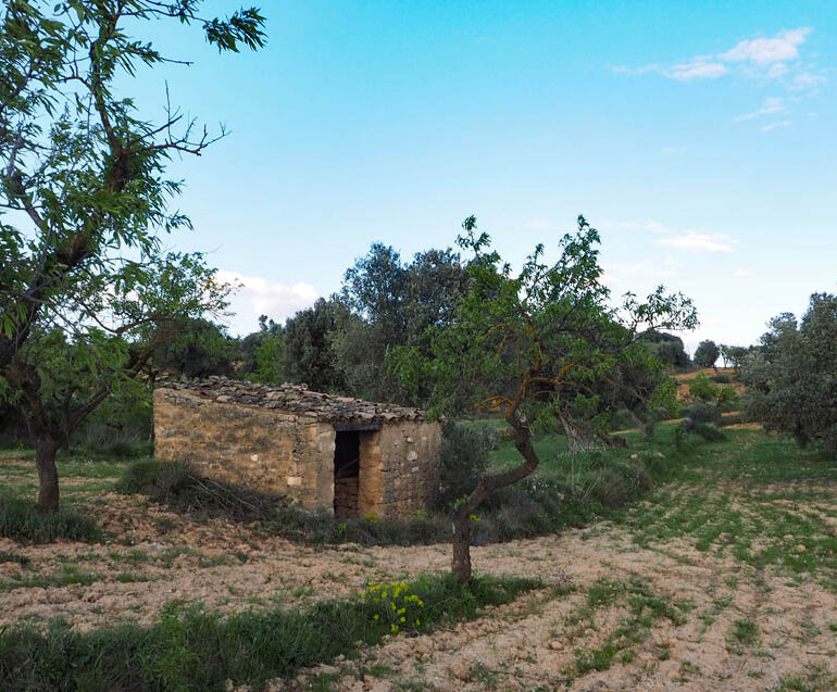 Maset de pedra entre oliveres i ametllers a Bot amb vistes a les serres de la Terra Alta