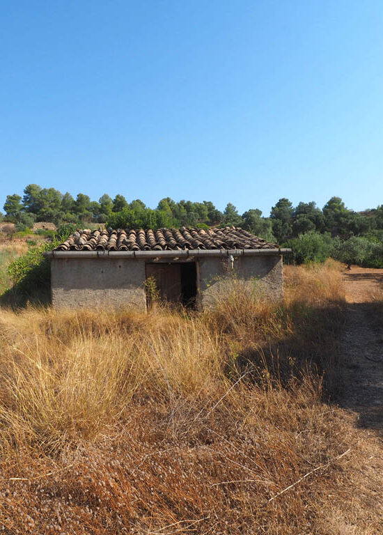 Maset tradicional en una finca rústica a Dernoses. Botuna