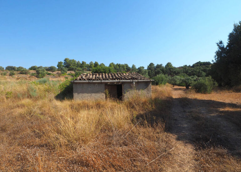 Maset tradicional en una finca rústica a Dernoses. Botuna